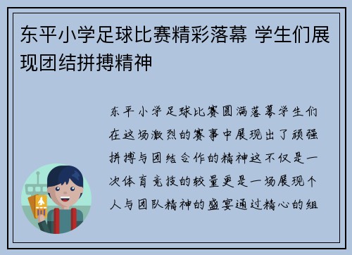 东平小学足球比赛精彩落幕 学生们展现团结拼搏精神