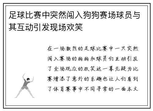 足球比赛中突然闯入狗狗赛场球员与其互动引发现场欢笑