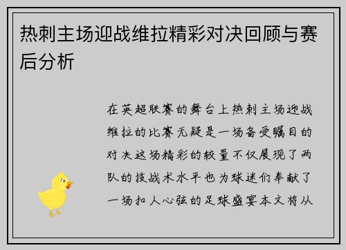 热刺主场迎战维拉精彩对决回顾与赛后分析