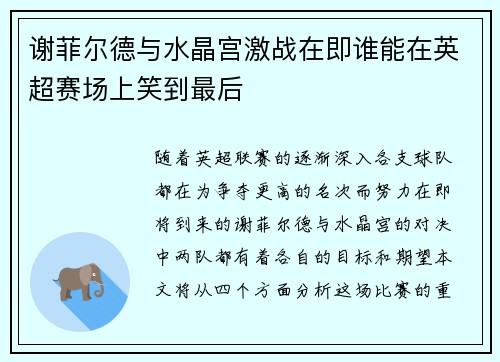 谢菲尔德与水晶宫激战在即谁能在英超赛场上笑到最后