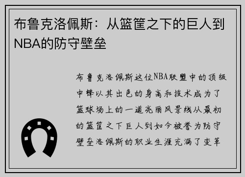布鲁克洛佩斯：从篮筐之下的巨人到NBA的防守壁垒
