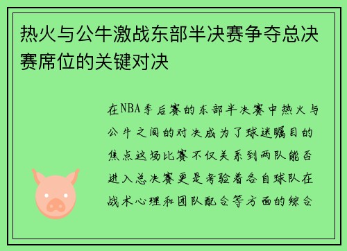 热火与公牛激战东部半决赛争夺总决赛席位的关键对决